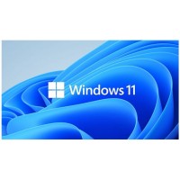 Microsoft Windows 11 Professional Retail 32-bit/64-bit USB Flash Drive